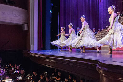 Impressionen > Die Fledermaus