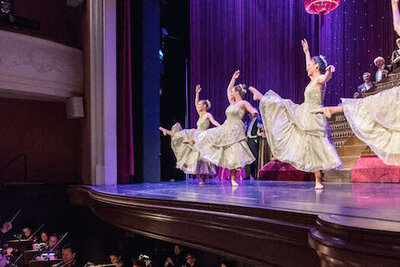Impressionen > Die Fledermaus