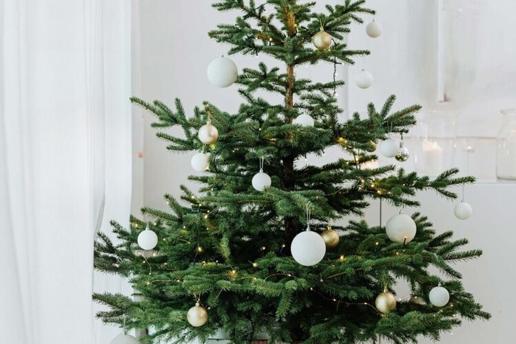 Christbaumverkauf