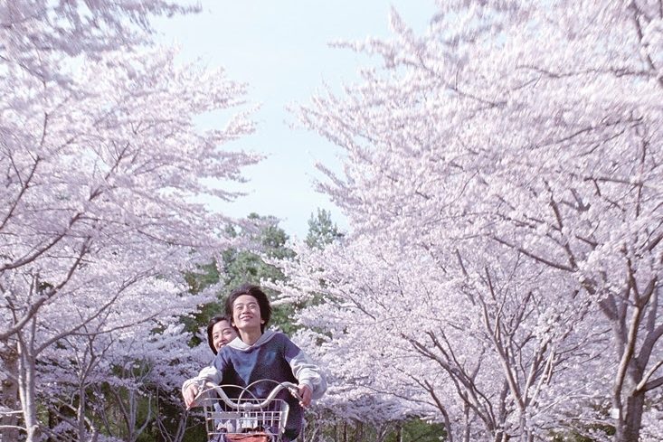 Our little sister – Umimachi diary