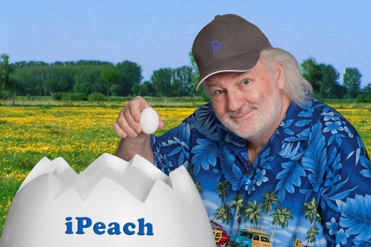 Peach Weber